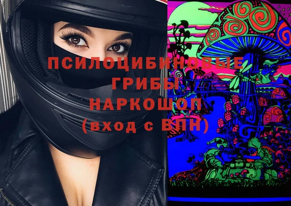 Альфа ПВП Магас